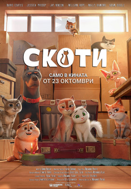 Скоти 2D